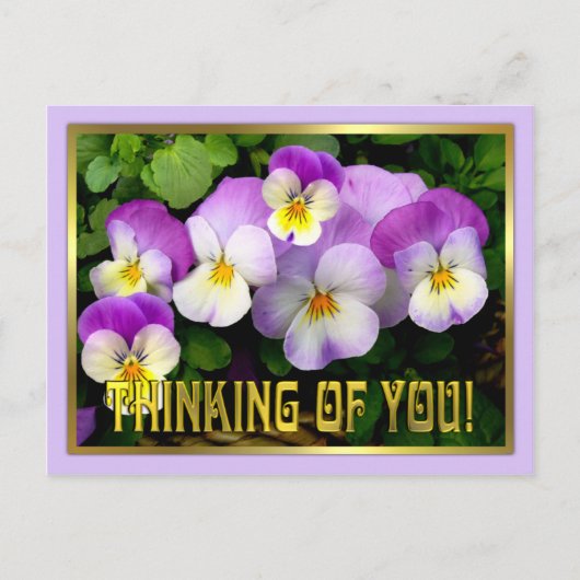 Pansy ~ Denking of you ~ Briefkaart (Voorkant)