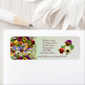 Pansy Display Etiket (Insitu)