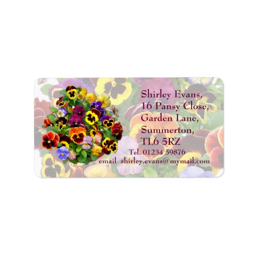 Pansy Display ~ Label (Voorkant)