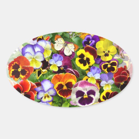 Pansy display met vlindervierkante sticker (Voorkant)