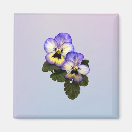 Pansy Duo Magneet (Voorkant)