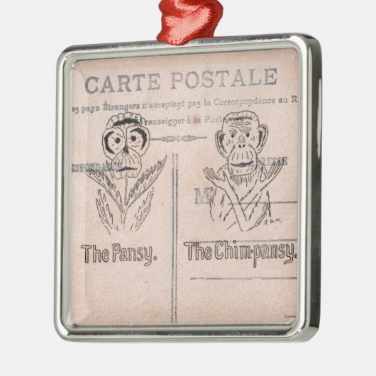 Pansy en Chimp Humor Metalen Ornament (Links)