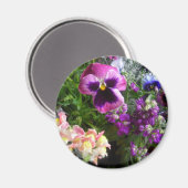 Pansy en vrienden Magnet (Voorkant / Achterkant)