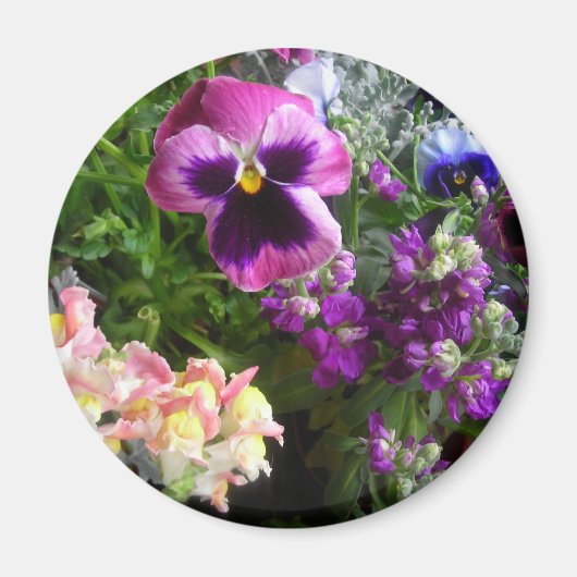 Pansy en vrienden Magnet (Voorkant)