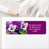 Pansy Etiket (Insitu)