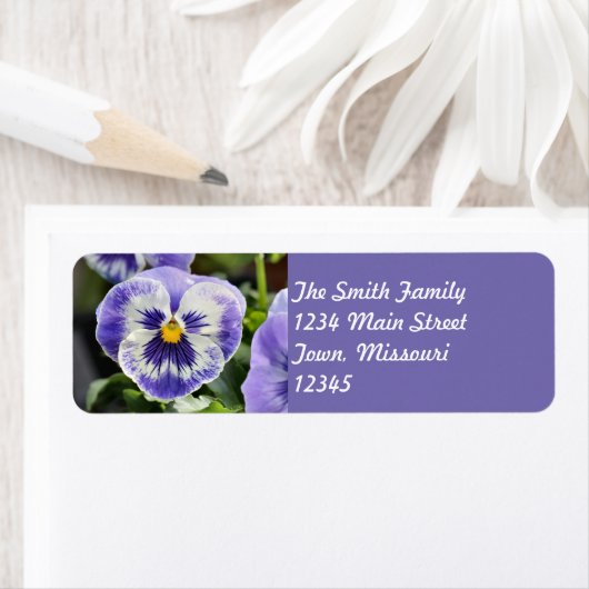 Pansy Etiket (Insitu)