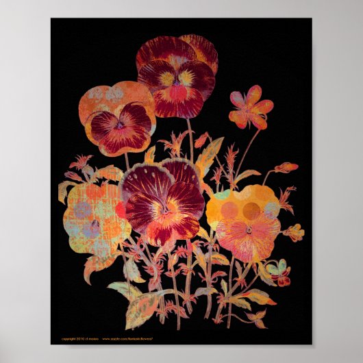 Pansy Exotica 8x10 Poster (Voorkant)