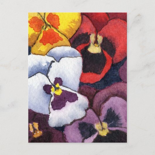 Pansy Floral Briefkaart (Voorkant)