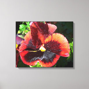 Pansy Flower Canvas