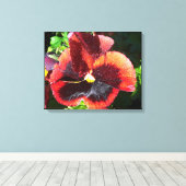 Pansy Flower Canvas Afdruk (Insitu (Houten vloer))