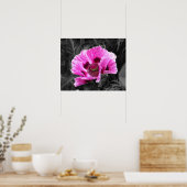Pansy Flower Paarse Kleur Pop Downloaden en Poster (Keuken)