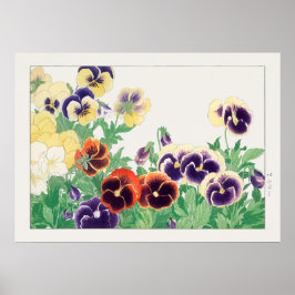 Pansy Flower, Red, Paars & Yellow Pansies, Konan, Poster