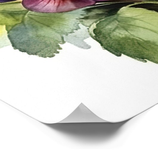 Pansy Flowers Art Print Poster (Hoek)
