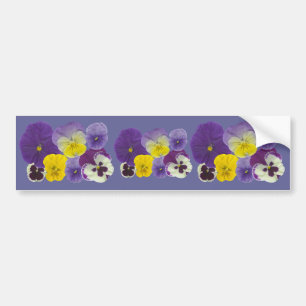 Pansy Flowers Bumpersticker