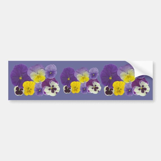 Pansy Flowers Bumpersticker (Voorkant)
