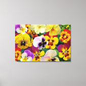Pansy Flowers ~ Ingewikkeld Canvas Print (Voorkant)