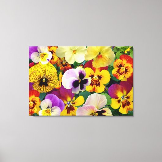 Pansy Flowers ~ Ingewikkeld Canvas Print (Voorkant)