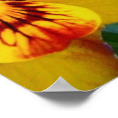 Pansy Flowers ~ Poster (Hoek)