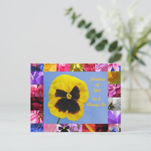 Pansy Garden Briefkaart (Staand voorkant)