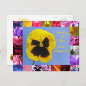 Pansy Garden Briefkaart (Voorkant / Achterkant)