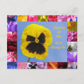 Pansy Garden Briefkaart (Voorkant)