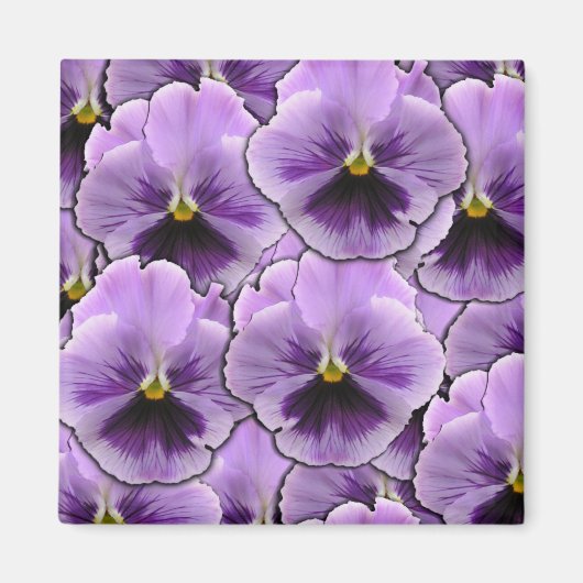 Pansy Garden Magneet (Voorkant)