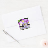Pansy Gelukkig Birthday Vierkante Sticker (Envelop)