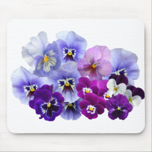 Pansy Isolated Violet Natuur Flower Violet Family. Muismat