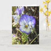 " Pansy" Kaart (Gele Bloem)