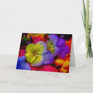 PANSY KAART