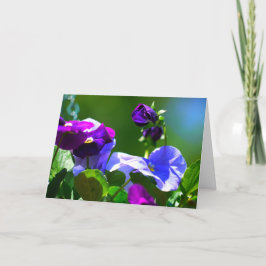 PANSY KAART-ELKE GELEGENHEID KAART