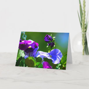 PANSY KAART-ELKE GELEGENHEID KAART