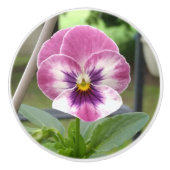 Pansy Keramische Knop (Roze & Paarse) (Voorkant)