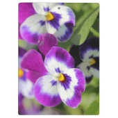Pansy Klembord (Achterkant)