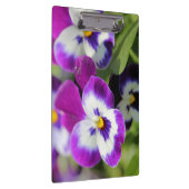Pansy Klembord (Rechts)