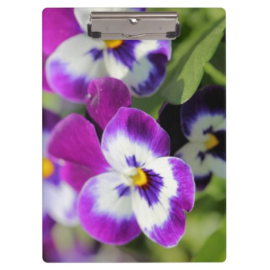 Pansy Klembord (Voorkant)