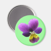 Pansy Magnet (Voorkant / Achterkant)