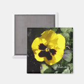 Pansy Magnet (Voorkant / Achterkant)