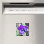 Pansy Magnet (Insitu (Vaatwasser))