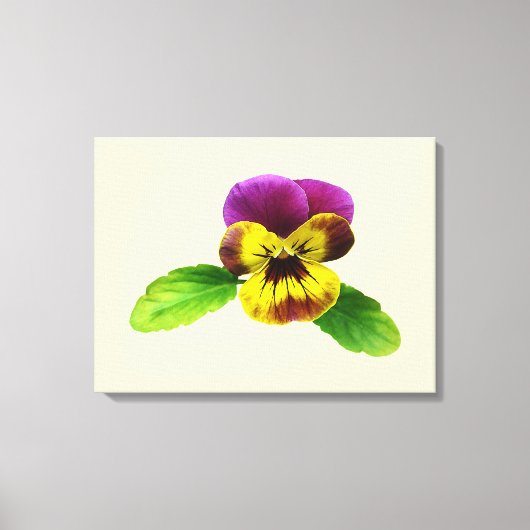 Pansy met lerende armen canvas afdruk (Voorkant)