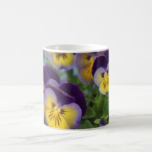 Pansy mok (Center)
