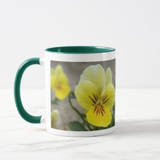 Pansy Mok (Links)