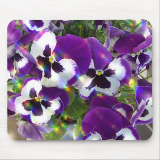 Pansy Muismat
