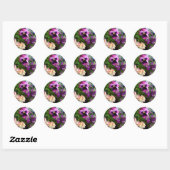 PANSY N FRIENDS STICKERS (Vel)