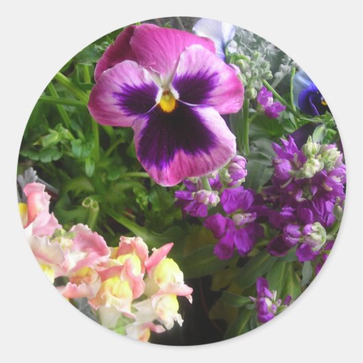 PANSY N FRIENDS STICKERS (Voorkant)