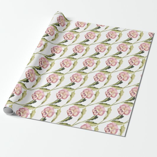 Pansy on White Background Cadeaupapier (Uitgerold)