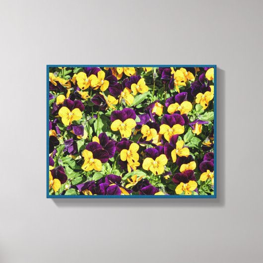 Pansy Overload Uitgerekt Canvas Print (Voorkant)