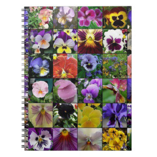 Pansy Pansies Notitieboek