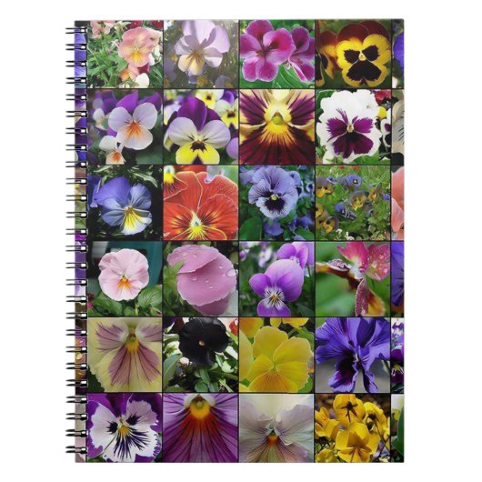Pansy Pansies Notitieboek (Voorkant)