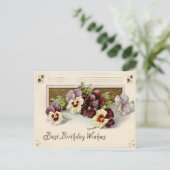 Pansy Pansies Paarse Wit Briefkaart (Staand voorkant)